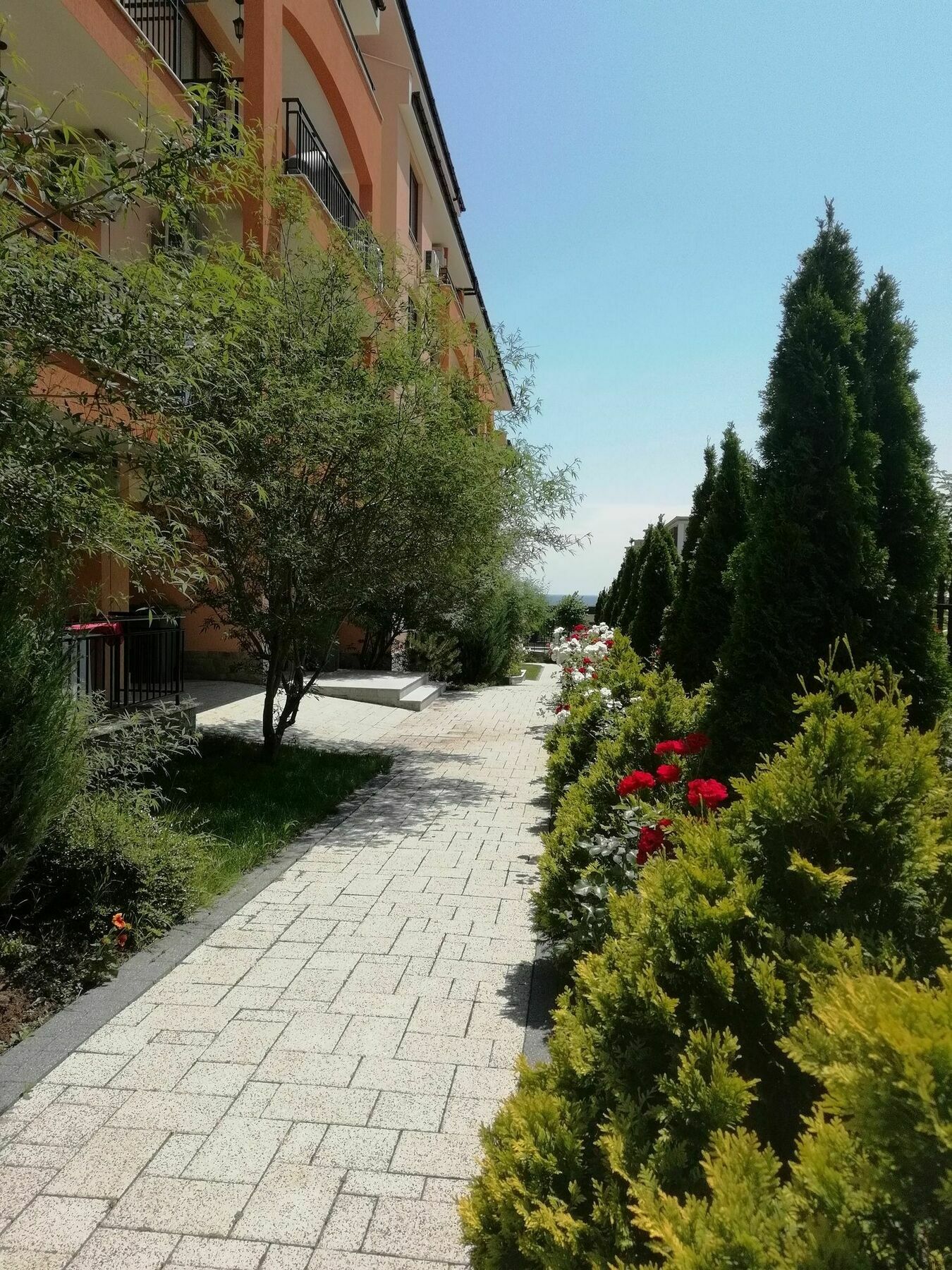 Stardreams Apartments Свети-Влас Экстерьер фото